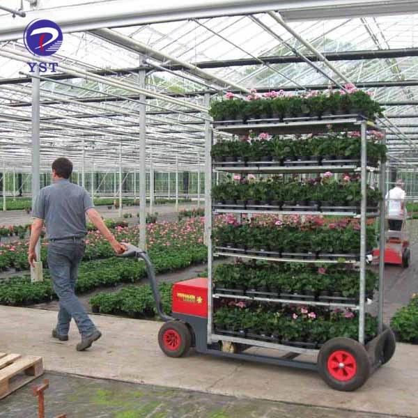 Greenhouse Transport Flower Cart