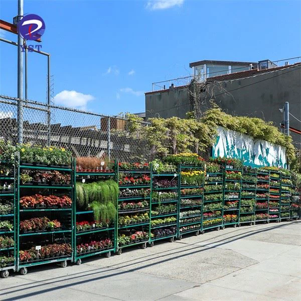 Greenhouse Transport Flower Cart