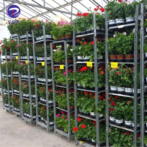 Plant Nursery Shelves Trolleys